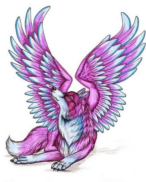 Featured image of post Fantasy Winged Wolf Drawing