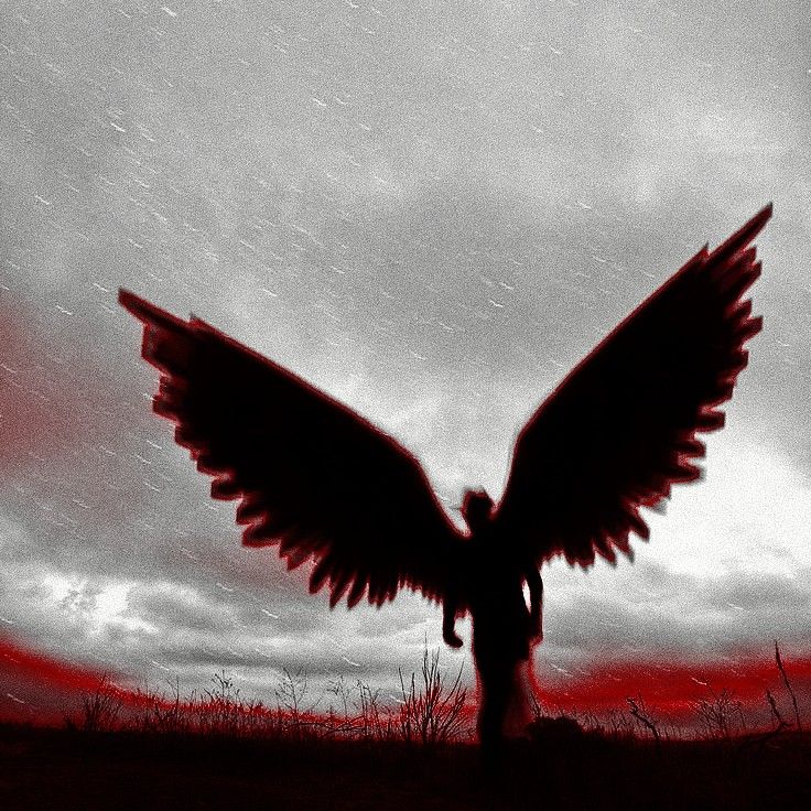 Featured image of post Red Fallen Angel Aesthetic